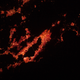 Illustration for article titled L.A. Glows Red in This Photo From the International Space Station